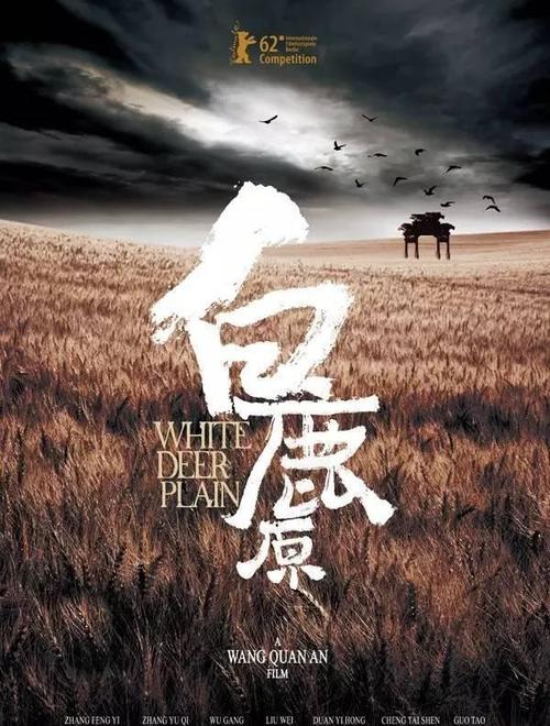 山东商业职业技术学院毕业证丢了怎么办